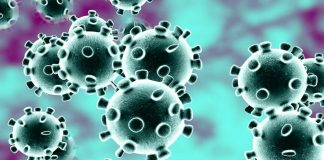 Wuhan Virus Death Toll Rises to 25, Confirmed Cases at 830