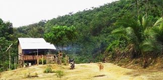 Report Claims Clash of Interests Behind Controversial Plan to Degazette Kuala Langat Reserve