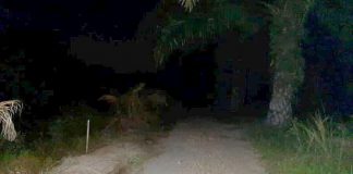 76-Year-Old Woman Stomped to Death in Sitiawan
