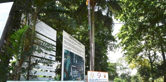 TTDI Folk Question Taman Rimba Kiara Name Change