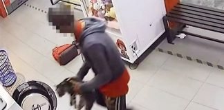 Man Allegedly Drowns Three Cats at Kepong Launderette