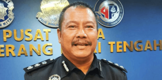 Woman Nabbed for Allegedly Killing Pregnant Cat, Injuring Another in Penang