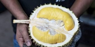 Fake news: Viral message claiming man died after eating durian following Covid jab