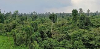 Little-known RM1 firm bags half of Kuala Langat reserve