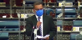 Ramkarpal: Citizenship ruling not binding, government’s appeal does not matter