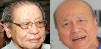 Kit Siang admits there were attempts to get Lam Thye to contest elsewhere
