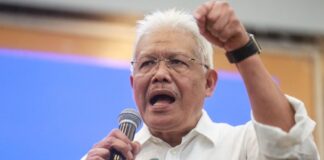 Hamzah Zainudin takes charge of rebranded Parti Wawasan Negara