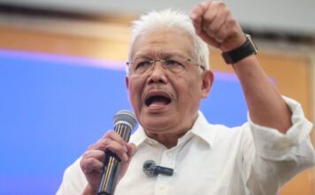 Hamzah Zainudin takes charge of rebranded Parti Wawasan Negara
